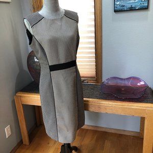 Tahari by Arthur S. Levine Women's Sleeveless Sheath Dress, Size 10, Black/Tan